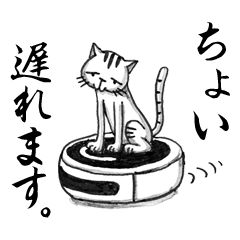 [LINEスタンプ] 関西ローカル猫のベタな日常