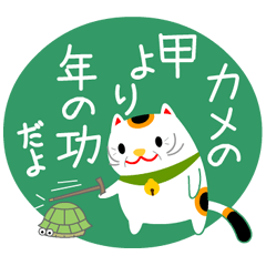 [LINEスタンプ] 招き猫ことわざ引用スタンプ