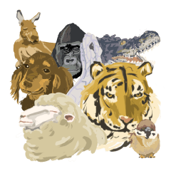 [LINEスタンプ] ANIMALS101