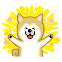 [LINEスタンプ] しばいぬスタンプ