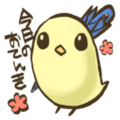 [LINEスタンプ] お天気をお知らせする黄色い文鳥さん