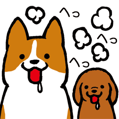 [LINEスタンプ] しつこい犬