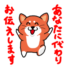 [LINEスタンプ] 柴犬の業務連絡（日常編）の画像（メイン）