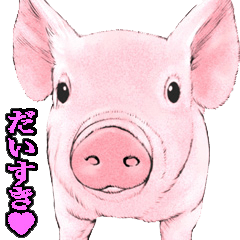 [LINEスタンプ] リアル動物アニマルスタンプの画像（メイン）