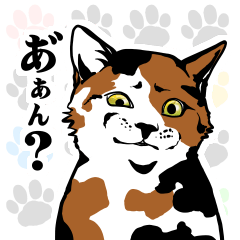 [LINEスタンプ] 「猫」スタンプ