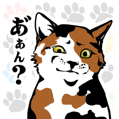 [LINEスタンプ] 「猫」スタンプの画像（メイン）