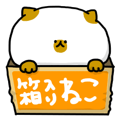 [LINEスタンプ] 箱入りねこの画像（メイン）