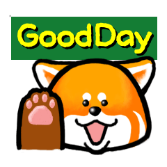 [LINEスタンプ] レッサーパンダ スタンプ