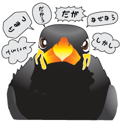 [LINEスタンプ] 九ちゃんの接続詞の画像（メイン）