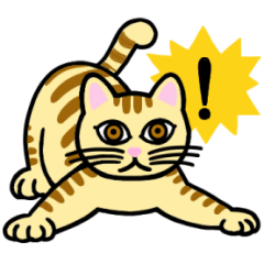 [LINEスタンプ] ネコです、よろしく。～デラックス～の画像（メイン）