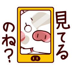 [LINEスタンプ] ブタさんのスタンプ。