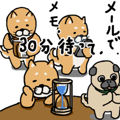 [LINEスタンプ] やり取り使い分けスタンプ（柴＆パグ）の画像（メイン）