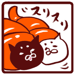 [LINEスタンプ] ころねこ と こるねこの画像（メイン）