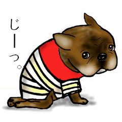 [LINEスタンプ] フレブルすたんぷ