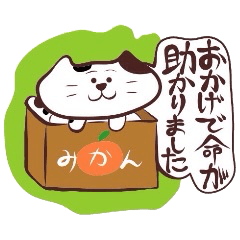 [LINEスタンプ] 媚びる！三毛猫タソ！の画像（メイン）