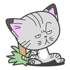 [LINEスタンプ] 名前のない子猫の画像（メイン）