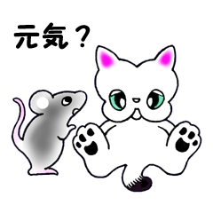 [LINEスタンプ] ふわふわにゃんこ