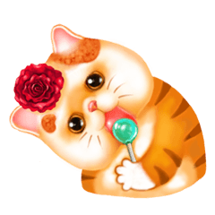 [LINEスタンプ] Cute Cats Cartoonの画像（メイン）