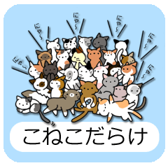 [LINEスタンプ] こねこだらけ