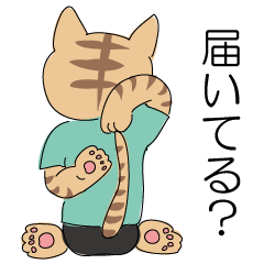 [LINEスタンプ] ヨガねこの画像（メイン）