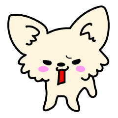 [LINEスタンプ] チワワのかぼ犬の画像（メイン）