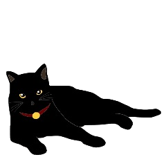 [LINEスタンプ] 黒猫の大ちゃんの画像（メイン）