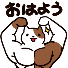 [LINEスタンプ] 猫マッスルさん