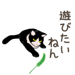 [LINEスタンプ] 大学猫の関西弁の画像（メイン）