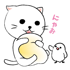 白ねこさんと文鳥さん