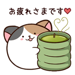 [LINEスタンプ] あにまぁるにゃんこの画像（メイン）