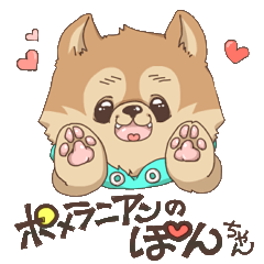 [LINEスタンプ] ぼくんちのポメラニアン