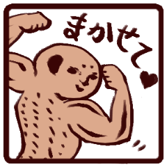 [LINEスタンプ] ミーアキャットスタンプ ムキムキ編