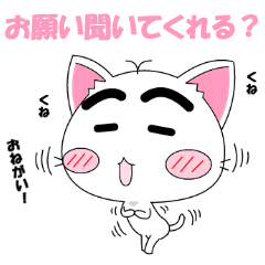 [LINEスタンプ] ねこまゆん 質問＆お願いスタンプ編の画像（メイン）