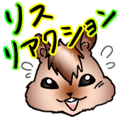 [LINEスタンプ] リス・リアクション