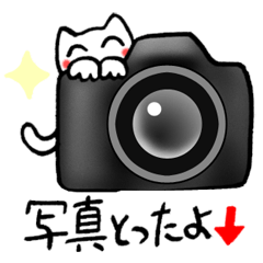 [LINEスタンプ] 写真に一言