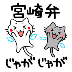 [LINEスタンプ] 宮崎弁のねこの画像（メイン）