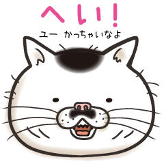 [LINEスタンプ] 猫面相2 -ブサ猫スタンプ-