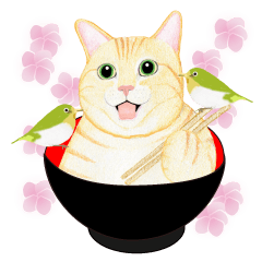 [LINEスタンプ] 茶トラネコ丼の画像（メイン）