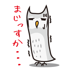 [LINEスタンプ] ゆるかわフクロウのスタンプの画像（メイン）