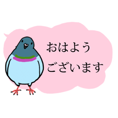 [LINEスタンプ] 鳩スタンプ2の画像（メイン）