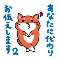 [LINEスタンプ] 柴犬の業務連絡（日常編2）の画像（メイン）