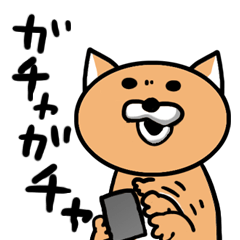 [LINEスタンプ] 課金猫