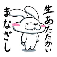 [LINEスタンプ] ふにゅんうさぎ