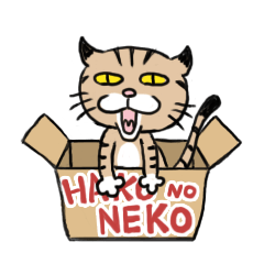[LINEスタンプ] HAKO no NEKOの画像（メイン）