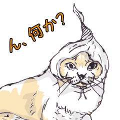 [LINEスタンプ] 猫博士の見解