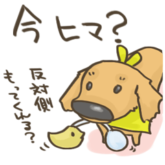 [LINEスタンプ] うぃくん その2の画像（メイン）