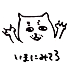 [LINEスタンプ] したたかなネコ