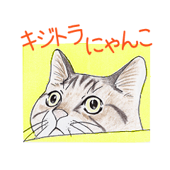 [LINEスタンプ] キジトラにゃんこの画像（メイン）