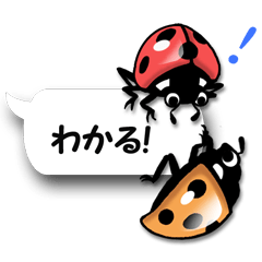 [LINEスタンプ] 昆虫がフキダシにこんなにもの画像（メイン）