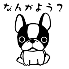 [LINEスタンプ] つえちょる犬の画像（メイン）